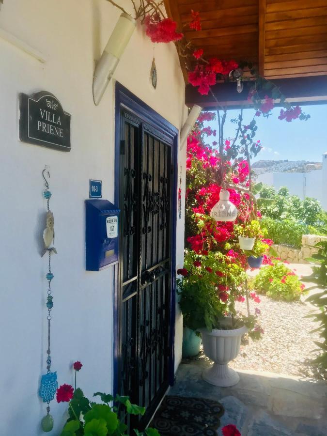 Villa Priene - Gumusluk Private Pool Exterior photo